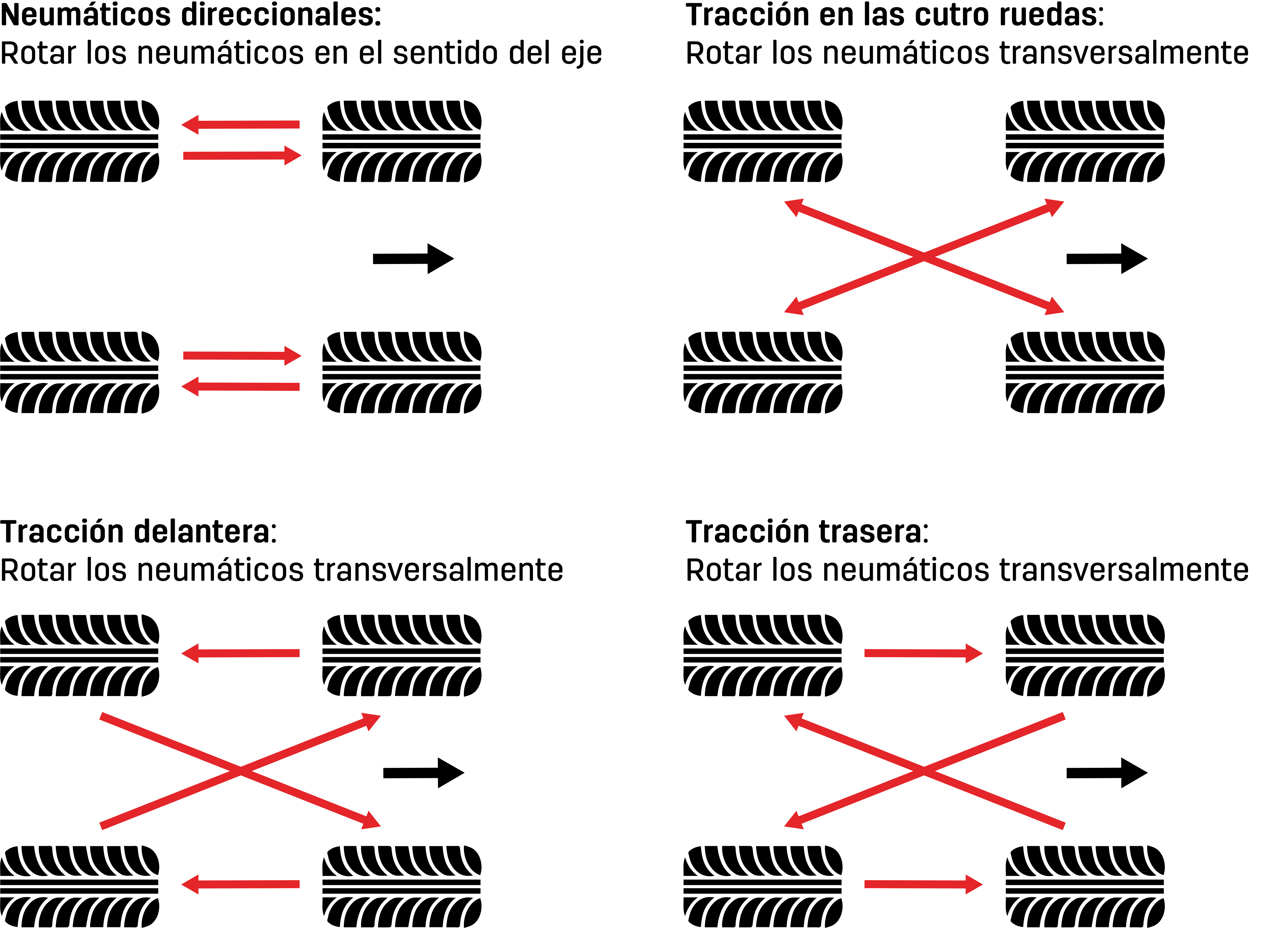 Rotación de neumáticos