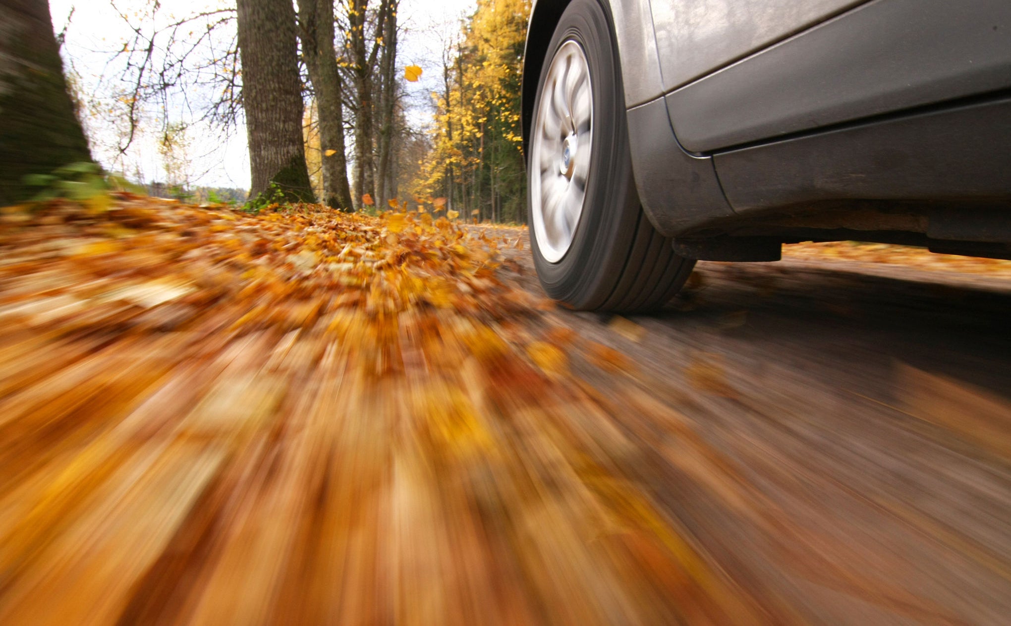 Uniroyal WinterExpert