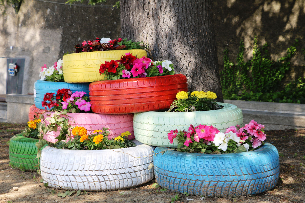 Uniroyal Flowers blooming in old car tires
