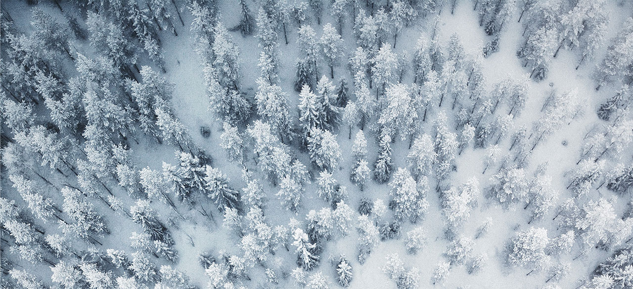 Hiver
