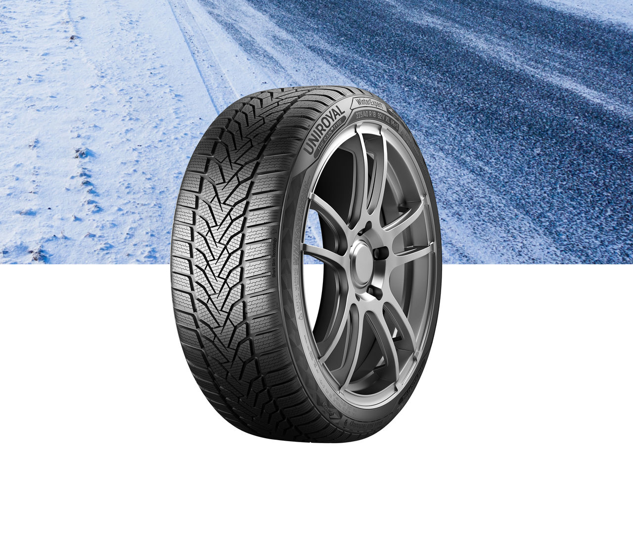 WinterExpert