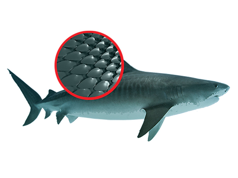Shark skin technológia közelről